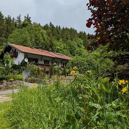Infangtal Inkl Chiemgaukarte Ruhpolding