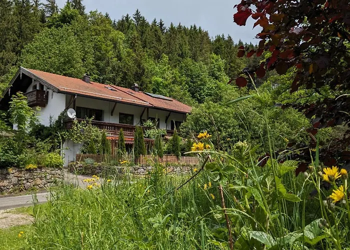 Infangtal Inkl Chiemgaukarte Ruhpolding
